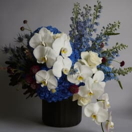 White orchids and blue flowers arranged in a black vase