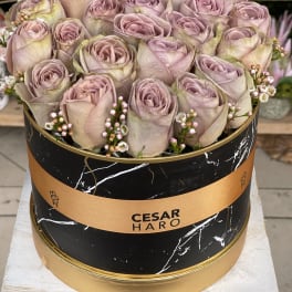 Bed of Roses