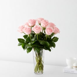 Dozen Light Pink Roses
