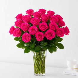 Two Dozen Hot Pink Roses
