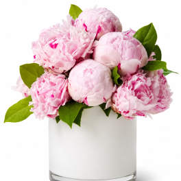 Pink peonies arranged in a white glass vase