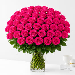 48 Hot Pink Roses