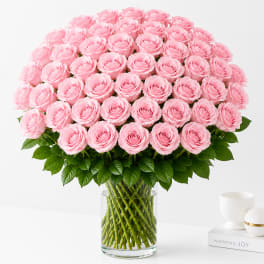 48 Light Pink Roses