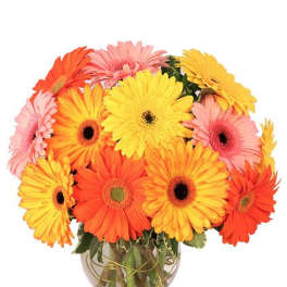 Groovy Gerberas Flower Arrangement