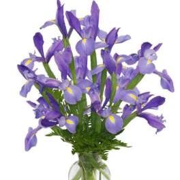 FLEUR-DE-LIS Iris Vase
