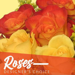 Beautiful Roses Designer's Choice