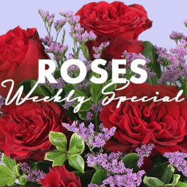 Rose Special Designer's Choice