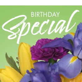 Birthday Special Designer's Choice