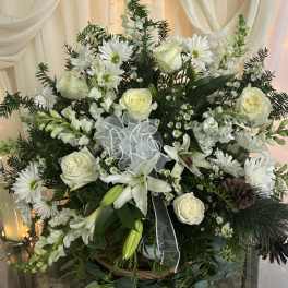 White roses and daisies arranged in a basket with a sheer ribbon