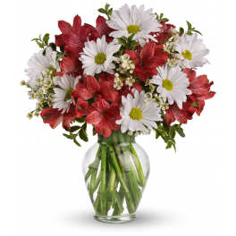 Bouquet of white daisies and red alstroemeria in a clear glass vase