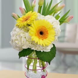 Springtime Celebration