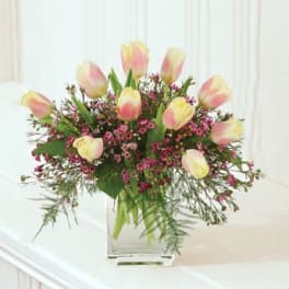 Spring Blush
