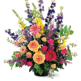 Colorful Tribute