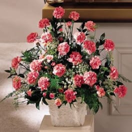 A Pink Display