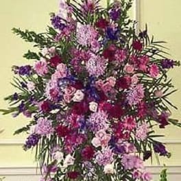Lavender Beauty