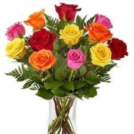 Rainbow Bliss – 12 Mixed Roses