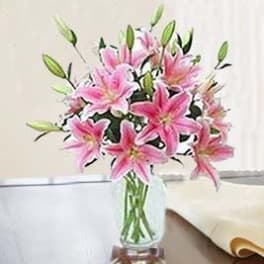 Enchanting Stargazer Lilies