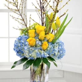 Springtime Splendor
