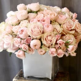 Tickled Pink