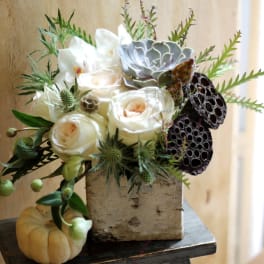 White roses and succulents in a rustic square container with lotus pods
