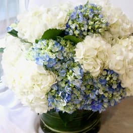 White and blue hydrangea arrangement in a green glass vase