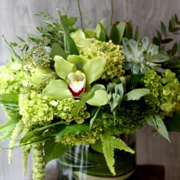 Green floral arrangement in a striped vase with orchids and hydrangeas