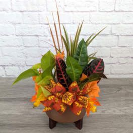 Fall Dishgarden