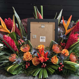 Tropical Remembrance