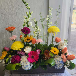 Spring Window Box Grand Garden