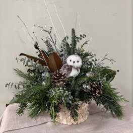 Holiday arrangement with evergreen branches, pinecones, and a small owl figurine in a birch container