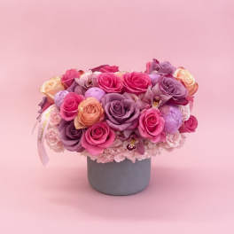 Pink Velvet Dream