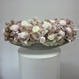 Coco love