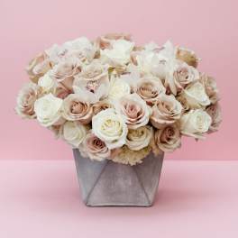 Blush Elegance