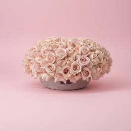 The Bella Bloom Bowl