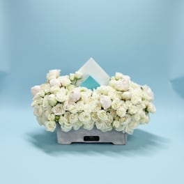 Chic White Harmoy