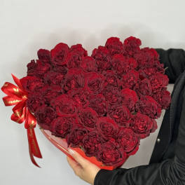 Tempestuous Red