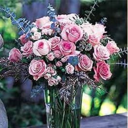 Exceptional Roses