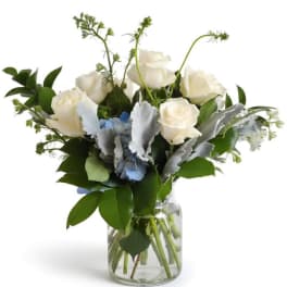 Bluebird Grace