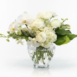 Ivory Whisper Garden