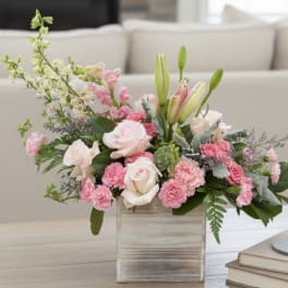 Blushwood Bloom Box