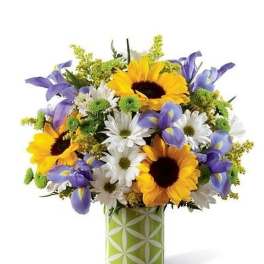 Sunflower Sweetness