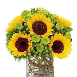 Sunflower Gift