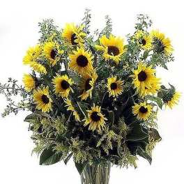 Simply Sunflowers