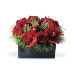 Low red rose and amaryllis arrangement with pine and ornaments in a dark wooden box