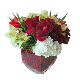 Low cube vase of red roses, green orchids, and white flowers over a base of red berries