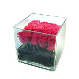 Roses in a Cube