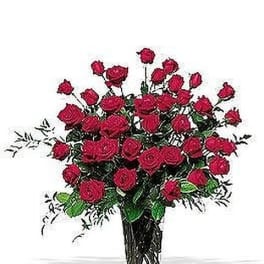 Three Dozen Red Roses