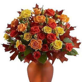 Amber Roses