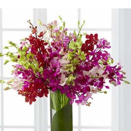 Tall arrangement of pink, purple, and red orchids in a clear glass cylinder vase