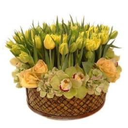 Low basket arrangement of yellow tulips, pale roses, hydrangeas, and green orchids